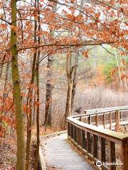 Lake Shaftsbury State Park