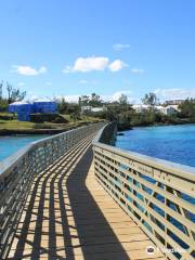 Bermuda Railway Trail