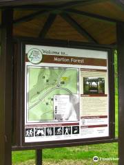 Morton Forest County Park