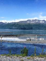 The Solomon Gulch Hatchery