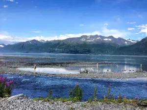 所羅門峽谷鮭魚孵化場