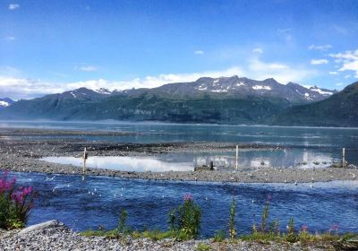 The Solomon Gulch Hatchery