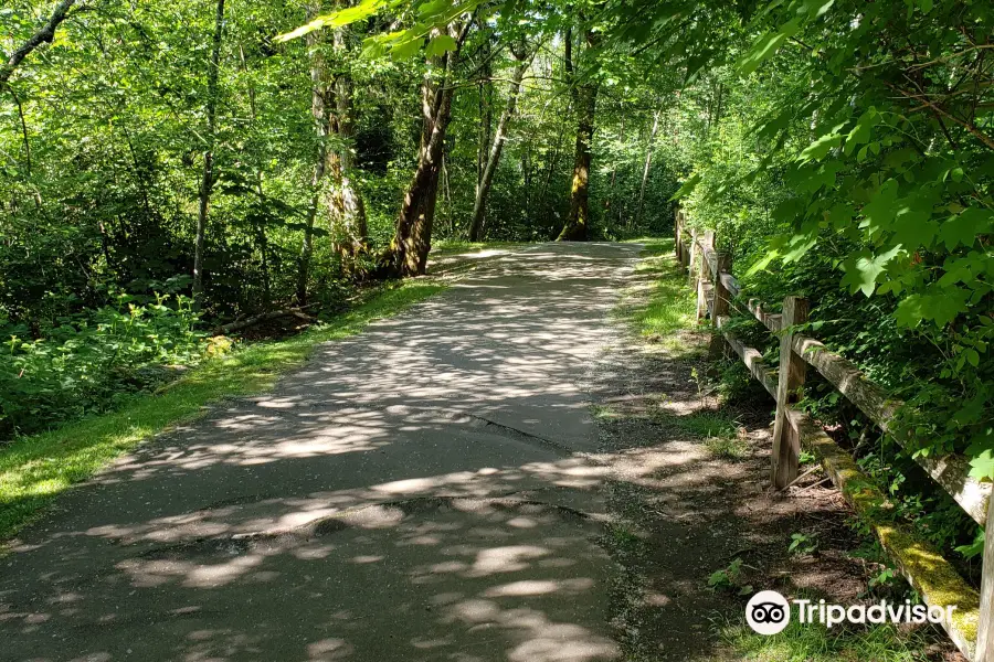 Wallace Swamp Creek Park