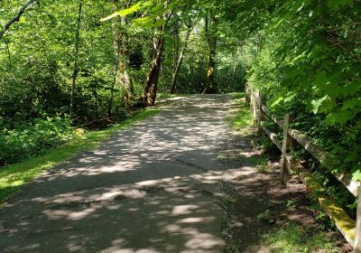 Wallace Swamp Creek Park