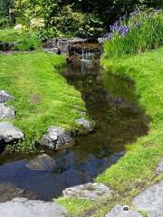 Botanical Gardens (Botanisk Hage og Museum)