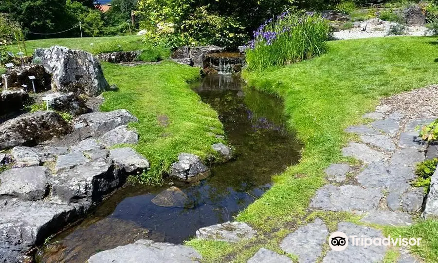 Botanical Gardens (Botanisk Hage og Museum)