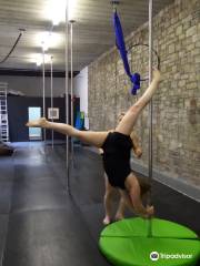 Poleguns Pole And Aerial - The ultimate instructor training