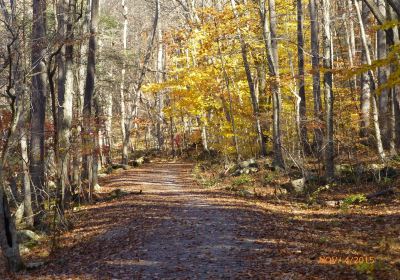 Ken Lockwood Gorge Wildlife Management Area