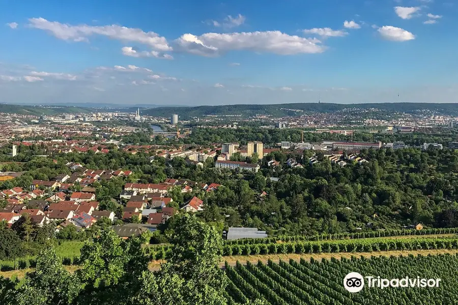 Observation Tower Burgholzhof