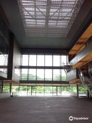 Brasiliana Guita and José Mindlin Library