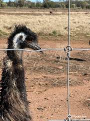 Emu Logic