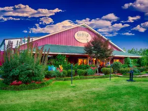 Cape Fear Vineyard and Winery