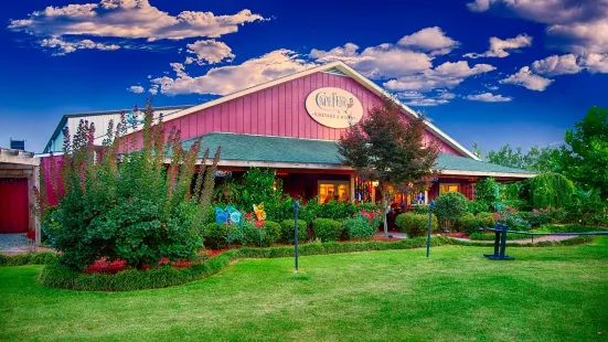 Cape Fear Vineyard & Winery