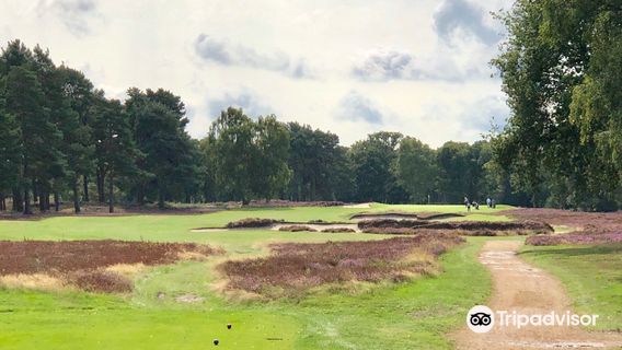West Sussex Golf Club