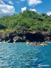 CARAÏBE KAYAK - Location - Kayak - Randonnée Palmée - Snorkeling - Réserve Cousteau - Malendure - Bouillante - Guadeloupe