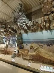 Brookshire's World of Wildlife Museum and Country Store