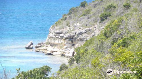 Great Bird Island