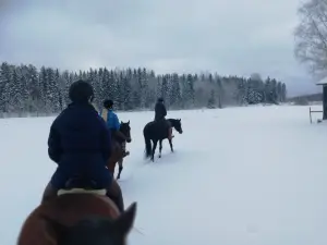 Pulleromäen ratsastustalli