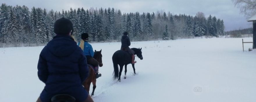 Pulleromäen ratsastustalli