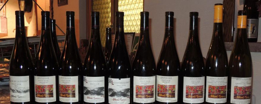 Wine Scholar Guild