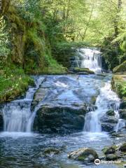 Watersmeet Trail