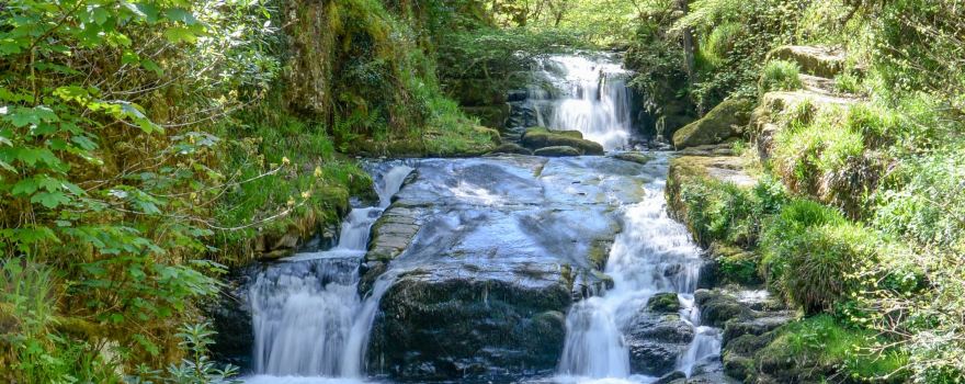 Watersmeet Trail