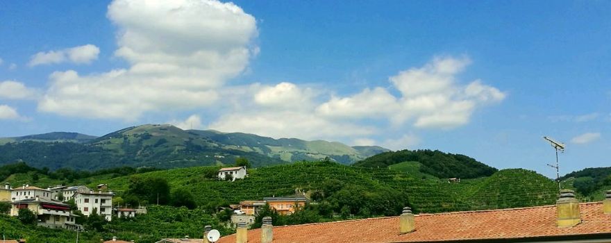 Azienda Agricola Valter Miotto