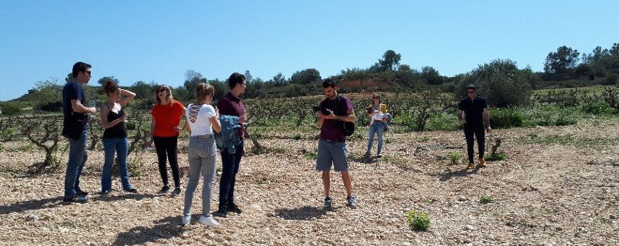 Celler del Cesc