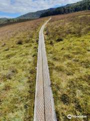 Overland Track