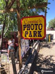 Connie's Photo Park
