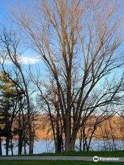 Pine Lake State Park