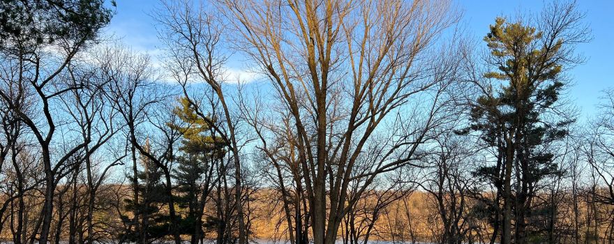 Pine Lake State Park
