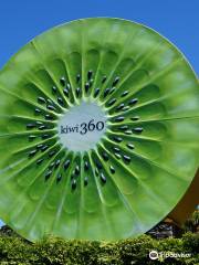 Kiwi 360