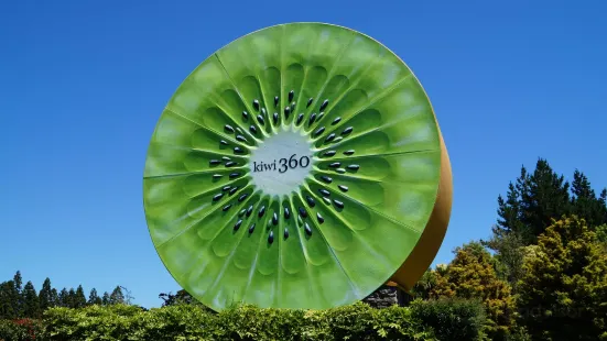 Kiwi 360