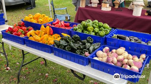 West River Farmers Market