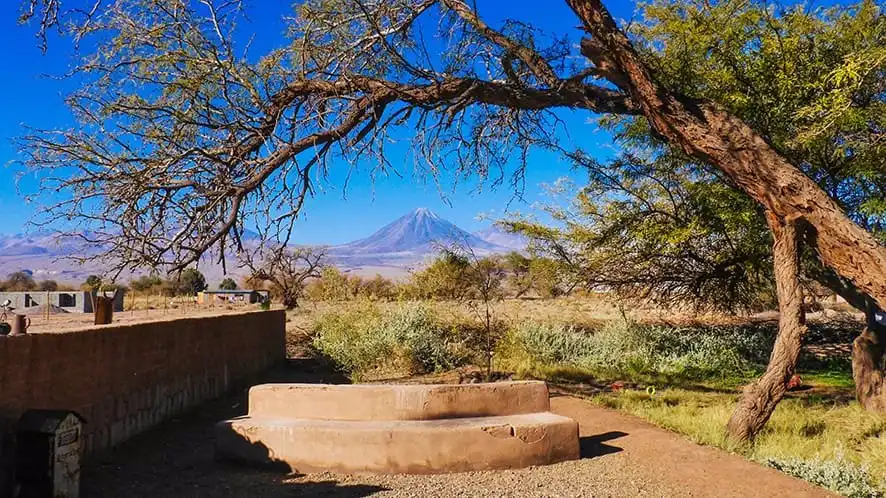 Hotels near Libreria Del Desierto