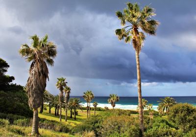 Cala de los Alemanes