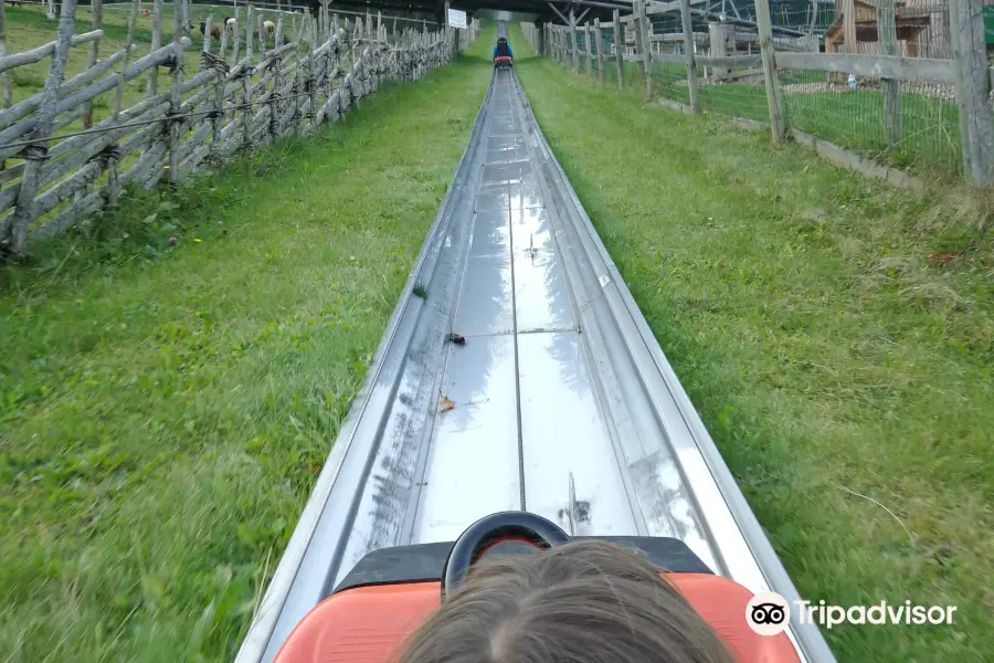 Sommerrodelbahn Koglhof