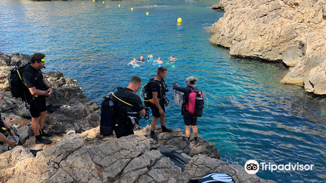 Norway Dive Mallorca - PADI 5 Star IDC Scuba Diving Center
