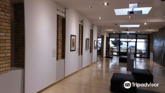 Munkacsy Mihaly Muzeum