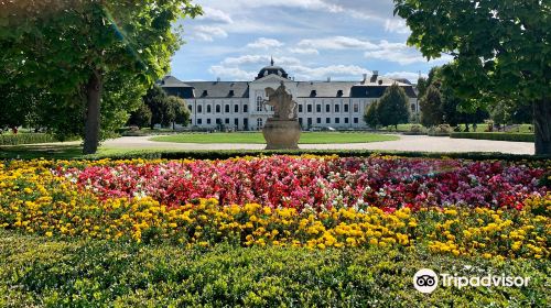 Presidential Palace