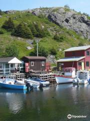 Quidi Vidi Lake Trail