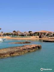 Zeytouna Beach Bar & Restaurant