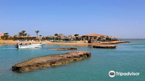 Zeytouna Beach Bar & Restaurant