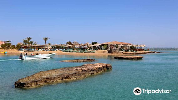 Zeytouna Beach Bar & Restaurant