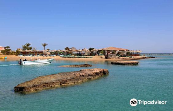 Zeytouna Beach Bar & Restaurant