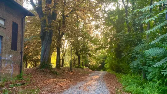 Park Novi Ligure Castle