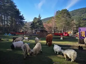 La Colline des Lutins