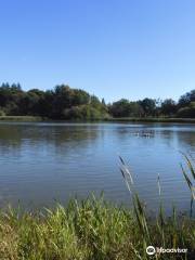 Warnham Local Nature Reserve