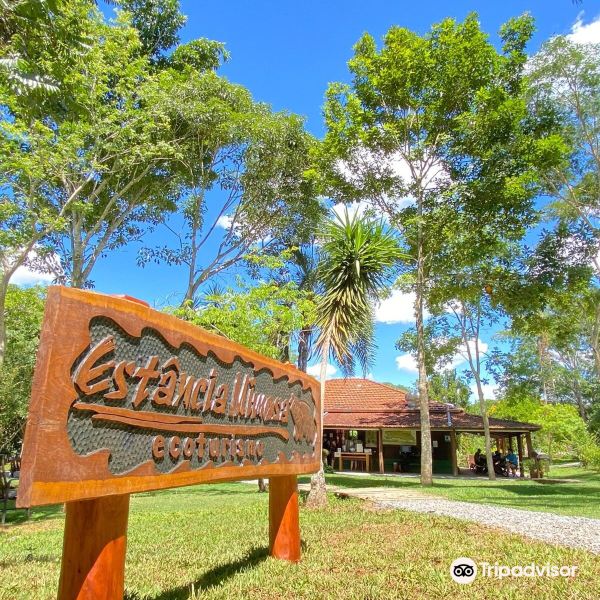 Macapa to Bonito Flights